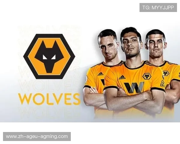 2019年英超球员数据统计及赛季综合评价 2019年英超球员数据统计及赛季综合评价