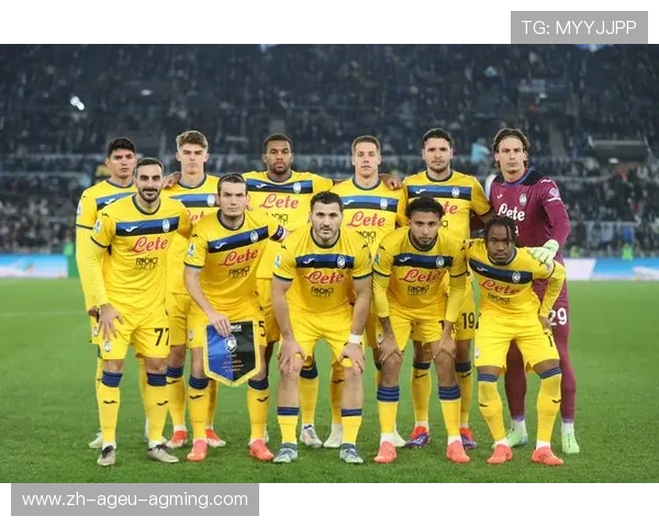 意甲球队在欧洲赛场的综合表现及荣誉记录