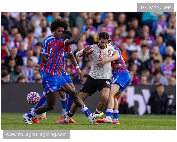 英超水晶宫队的现任教练:执教风格与战术规划 英超水晶宫队的现任教练:执教风格与战术规划